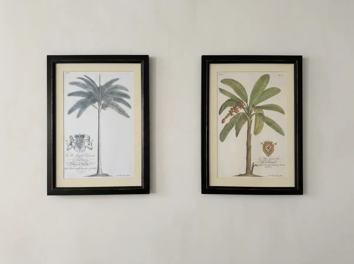 Palm and Banana, a Pair, pair of botanical engravings of a palm and a banana plant